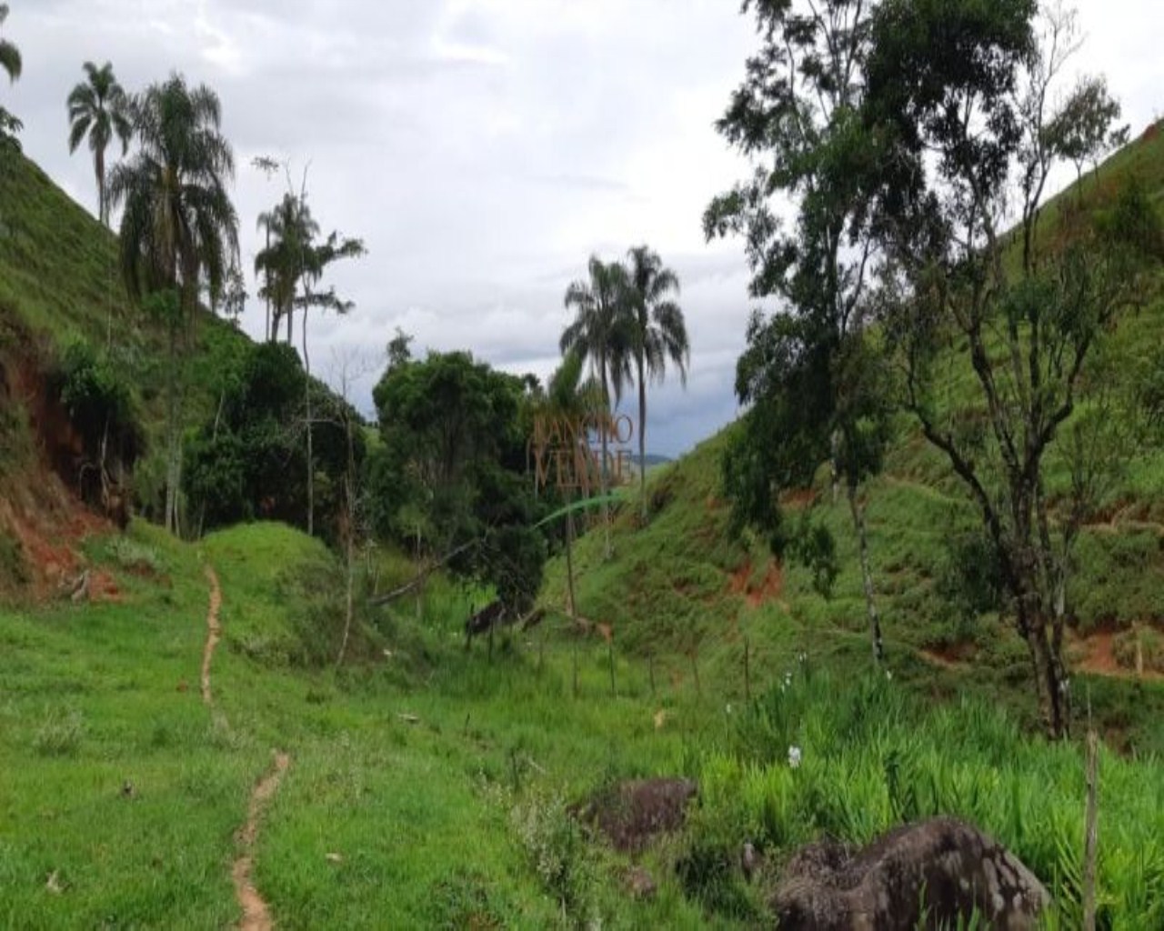 Fazenda de 131 ha em Jacareí, SP