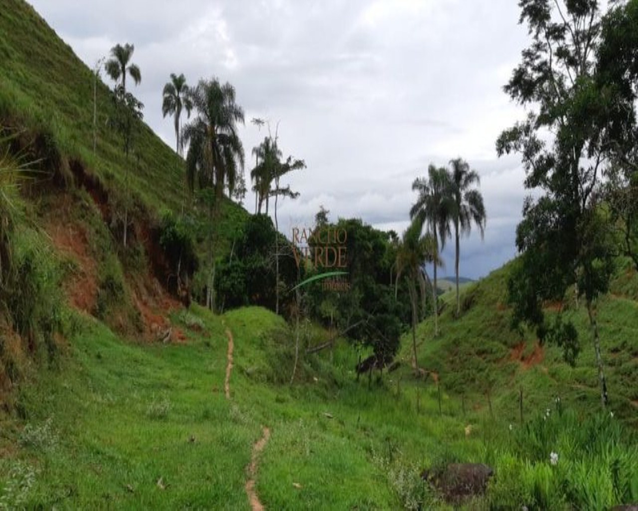 Fazenda de 131 ha em Jacareí, SP