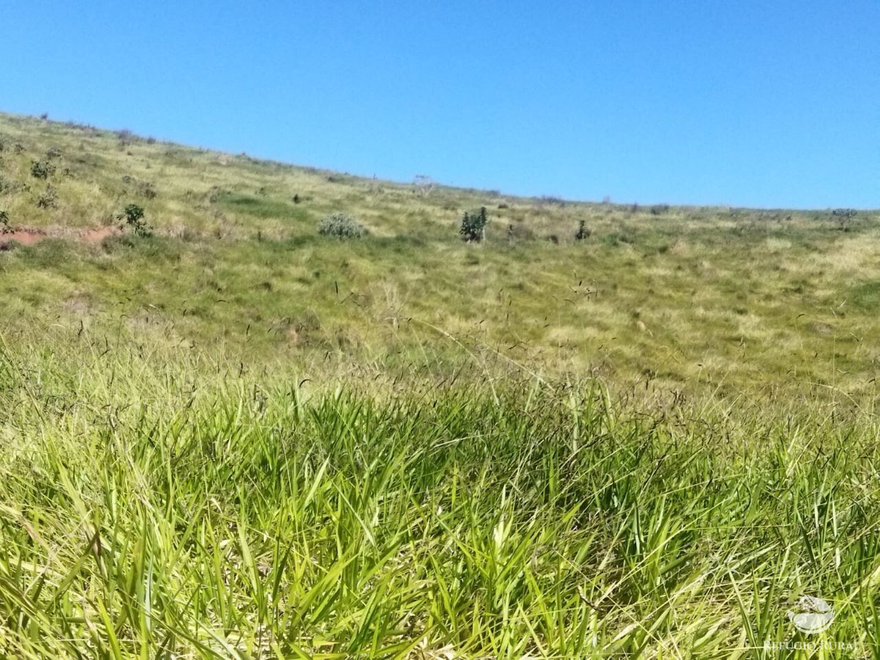 Terreno de 3 ha em São José dos Campos, SP