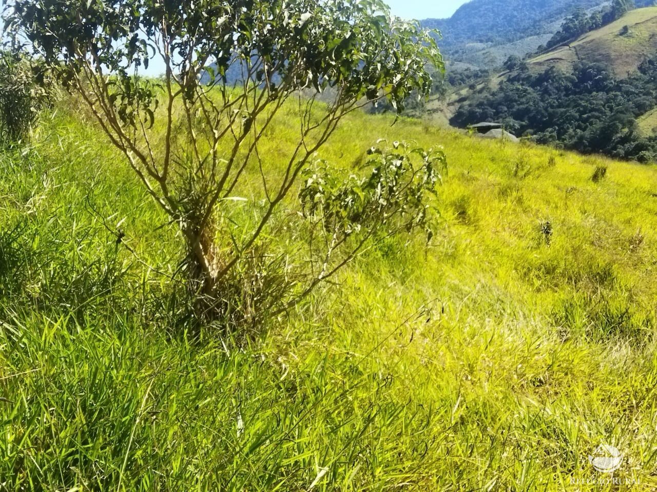 Terreno de 3 ha em São José dos Campos, SP