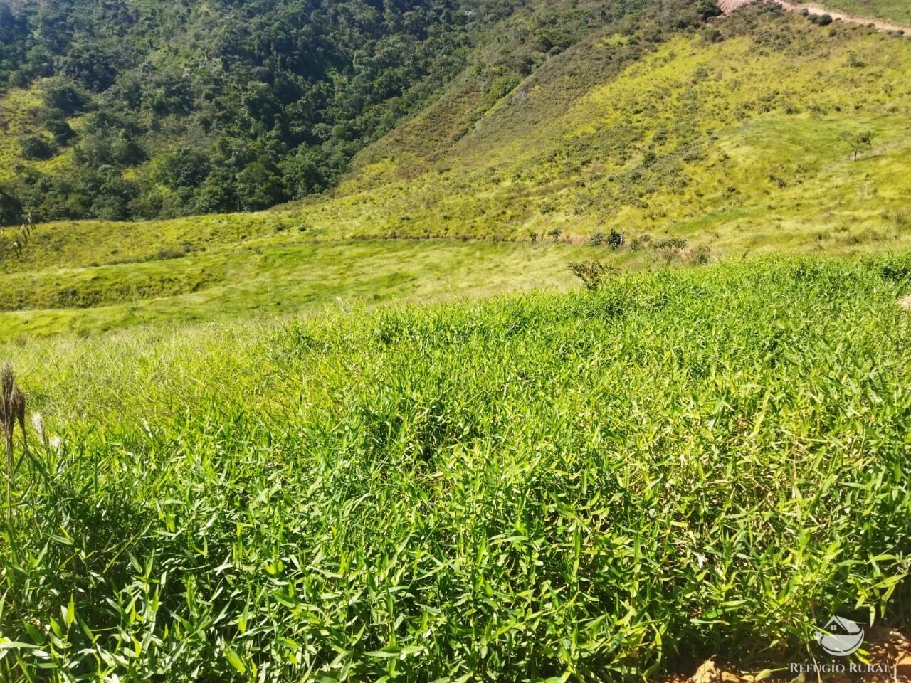 Terreno de 3 ha em São José dos Campos, SP