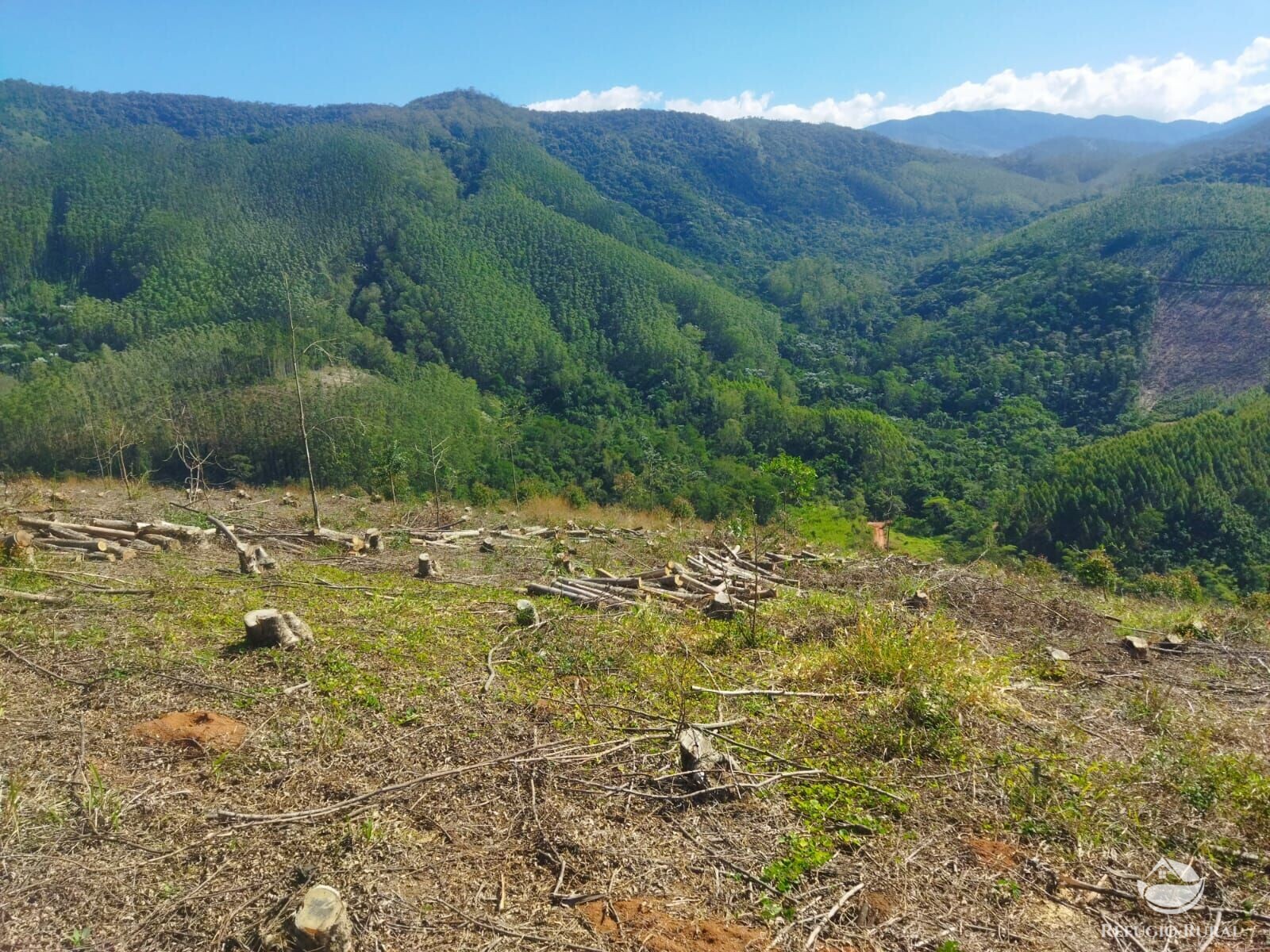 Terreno de 4 ha em Monteiro Lobato, SP