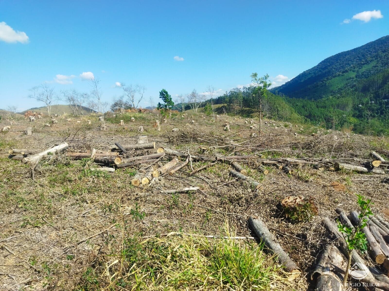 Terreno de 4 ha em Monteiro Lobato, SP