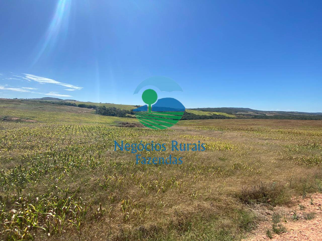 Fazenda de 556 ha em Pires do Rio, GO