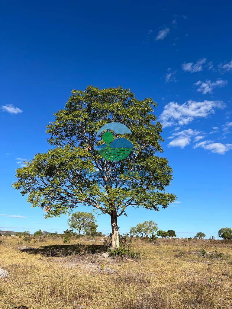 Fazenda de 1.645 ha em Crixás, GO