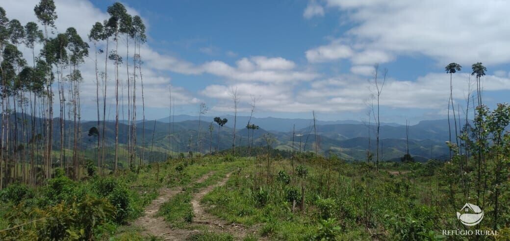 Terreno de 2 ha em Monteiro Lobato, SP