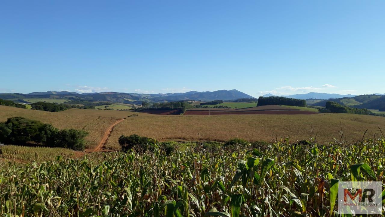 Fazenda de 178 ha em Carmo de Minas, MG