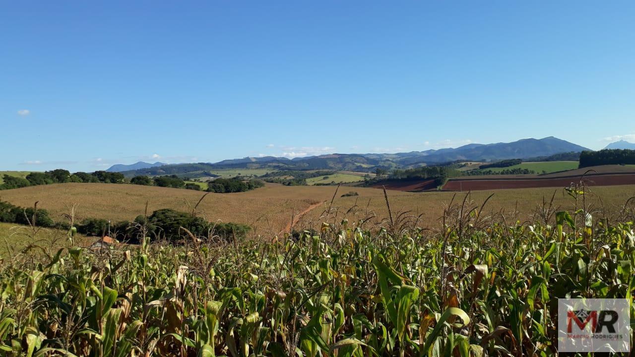 Fazenda de 178 ha em Carmo de Minas, MG