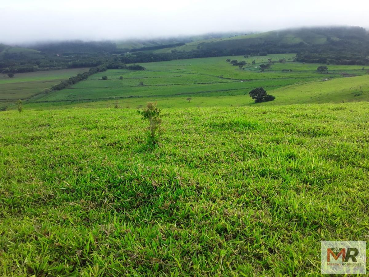 Fazenda de 178 ha em Carmo de Minas, MG