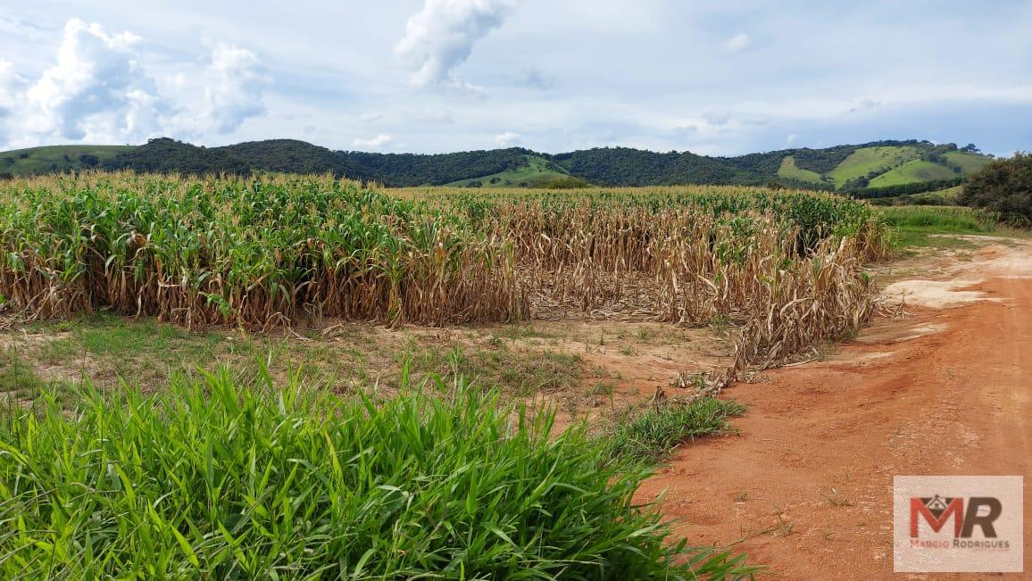 Fazenda de 178 ha em Carmo de Minas, MG