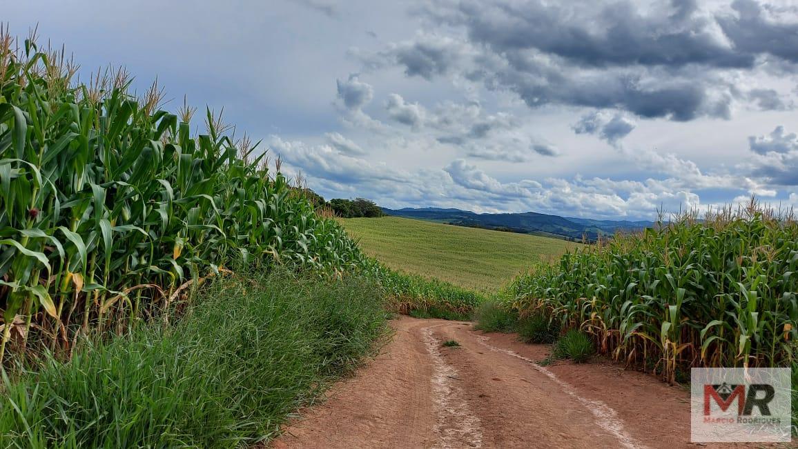 Fazenda de 178 ha em Carmo de Minas, MG