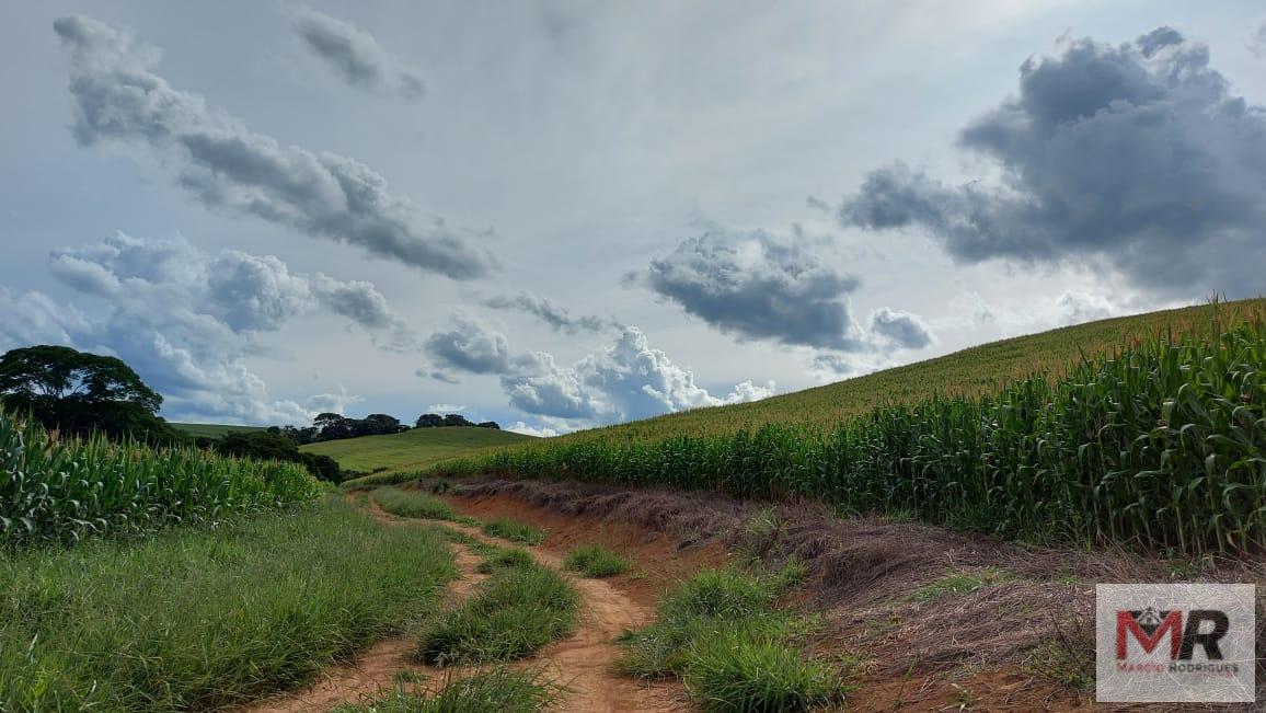 Fazenda de 178 ha em Carmo de Minas, MG