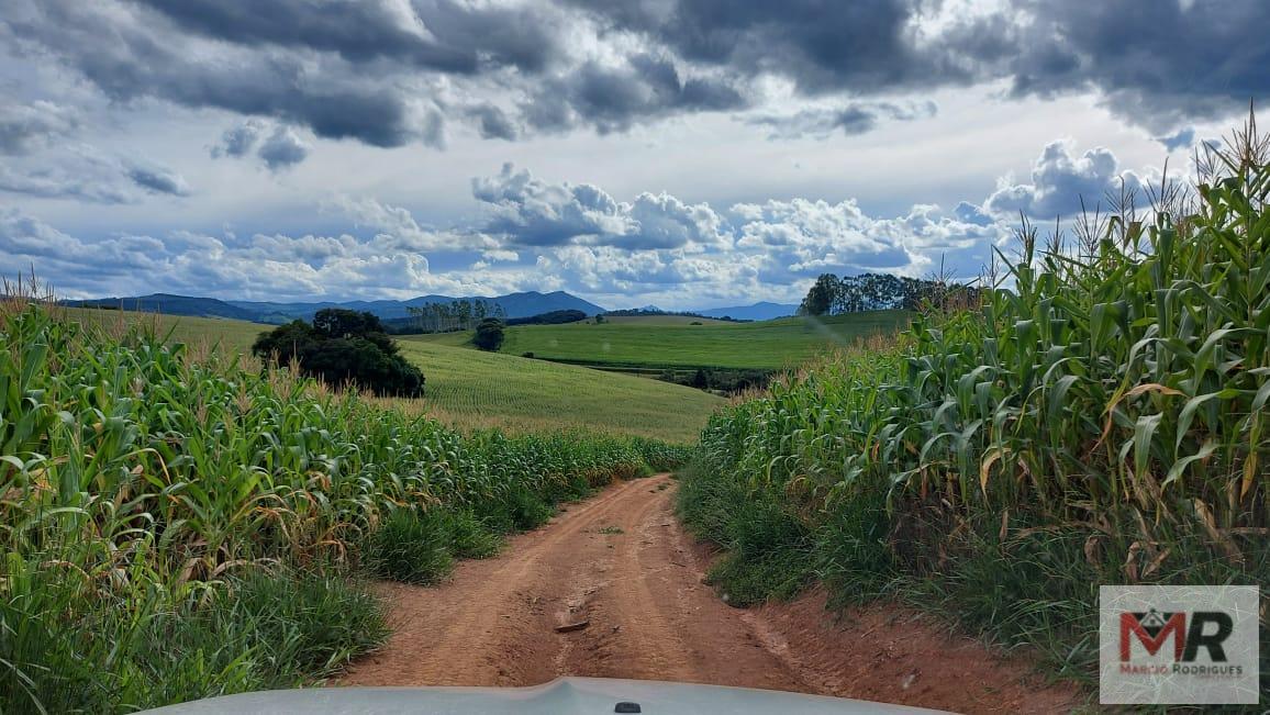 Fazenda de 178 ha em Carmo de Minas, MG