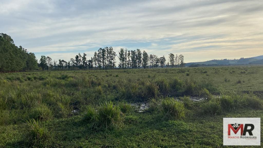 Fazenda de 175 ha em Careaçu, MG