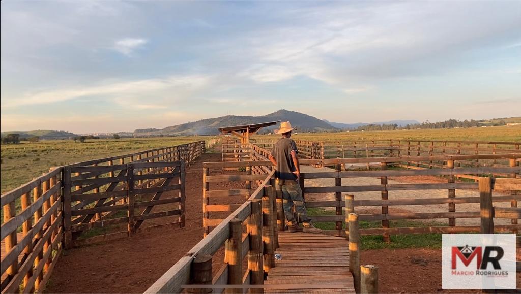 Fazenda de 175 ha em Careaçu, MG