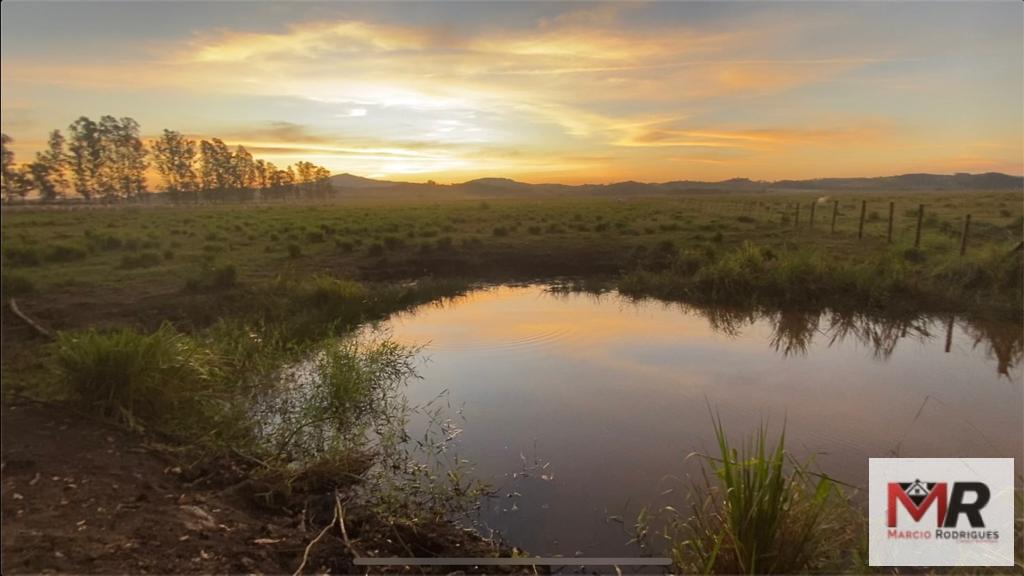 Fazenda de 175 ha em Careaçu, MG