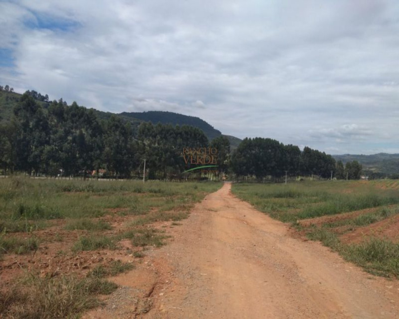 Fazenda de 245 ha em Divinolândia, SP