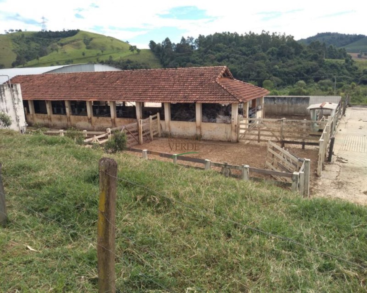 Fazenda de 245 ha em Divinolândia, SP