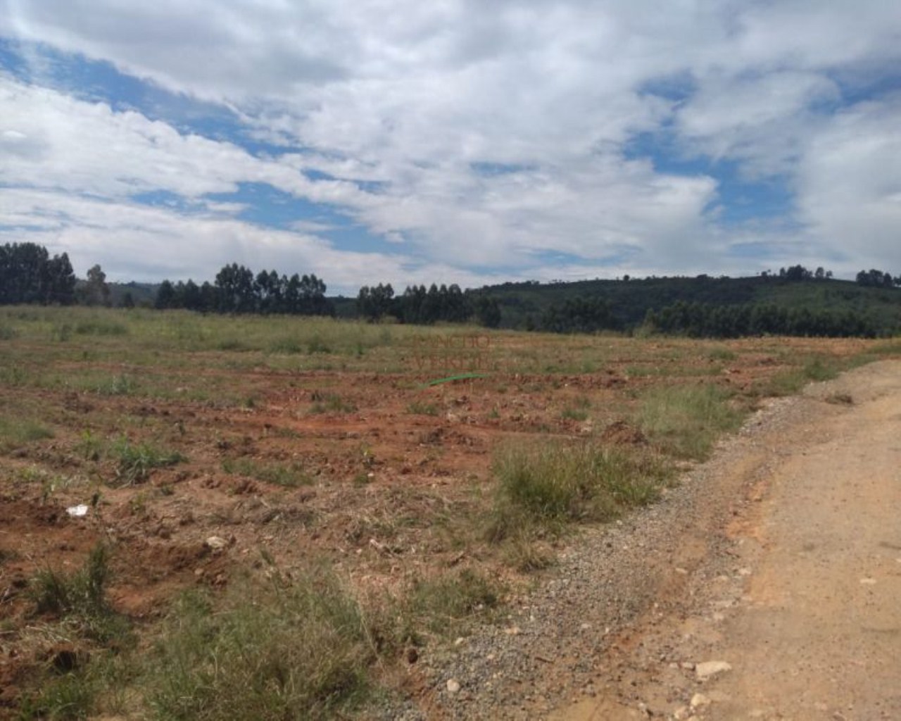 Fazenda de 245 ha em Divinolândia, SP