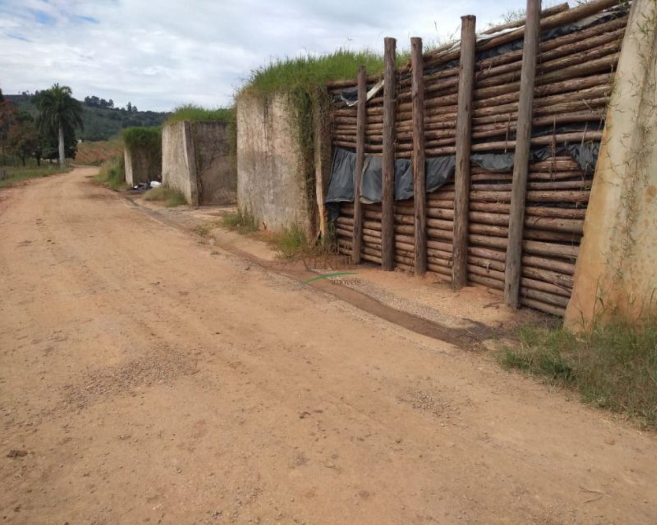 Fazenda de 245 ha em Divinolândia, SP