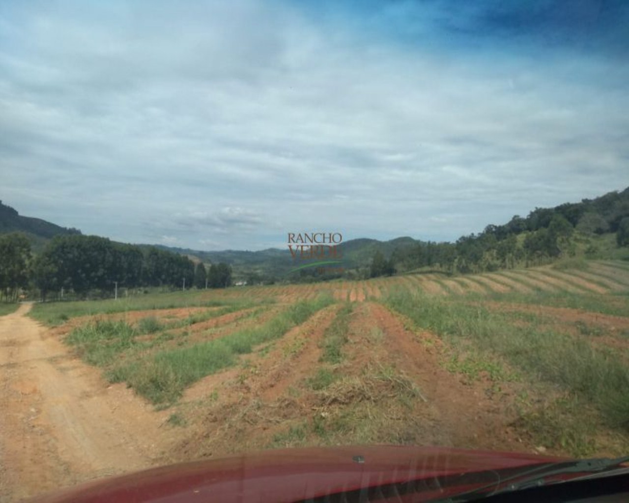 Fazenda de 245 ha em Divinolândia, SP