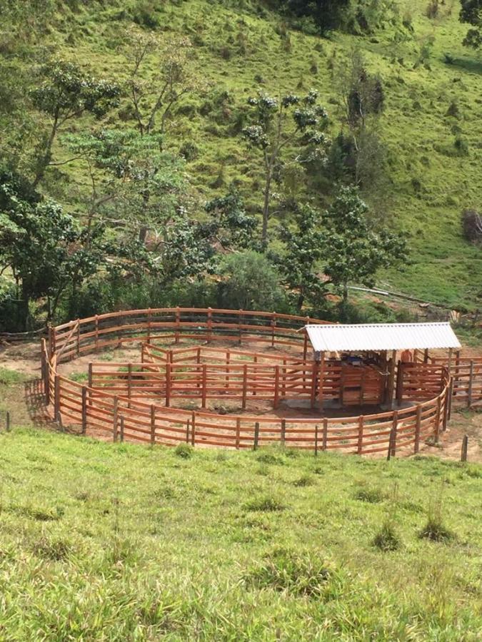 Fazenda de 190 ha em Carvalhos, MG