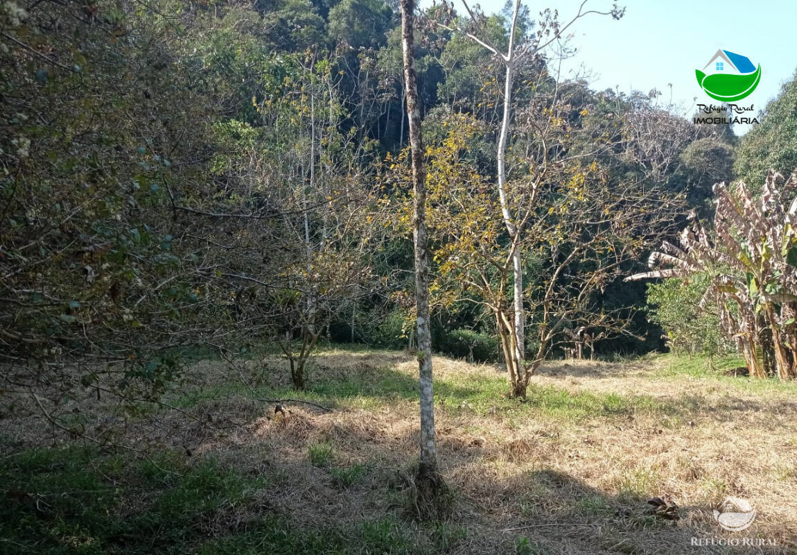 Fazenda de 169 ha em Monteiro Lobato, SP