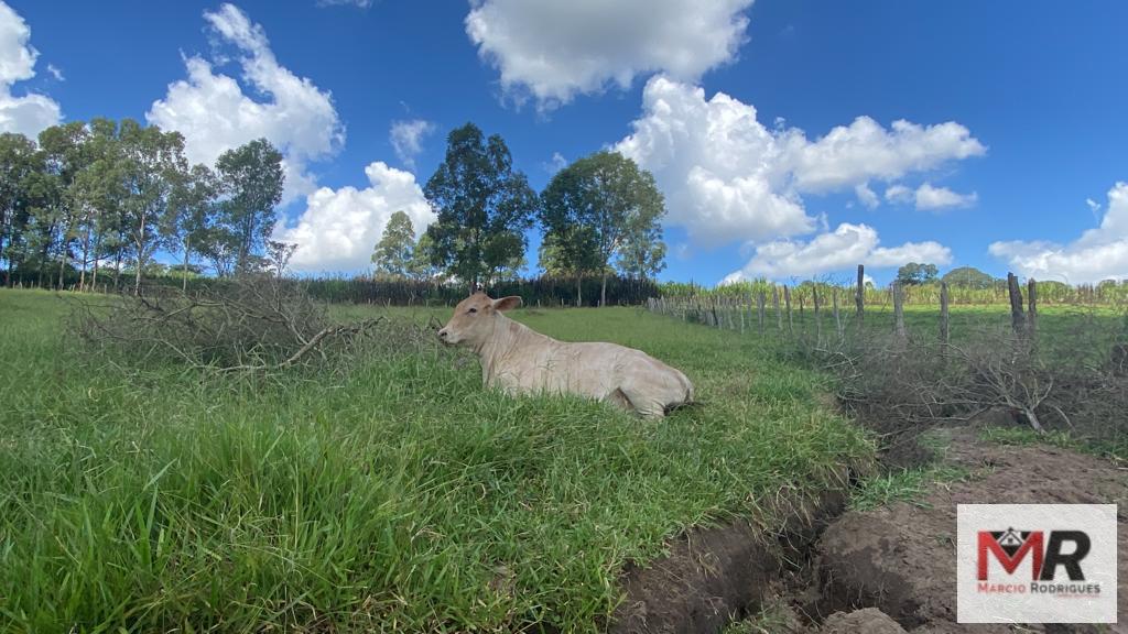 Terreno de 8 ha em Espírito Santo do Dourado, MG