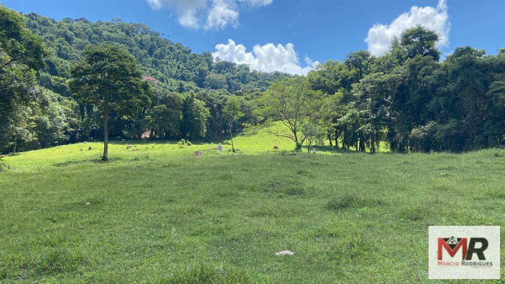 Terreno de 8 ha em Espírito Santo do Dourado, MG