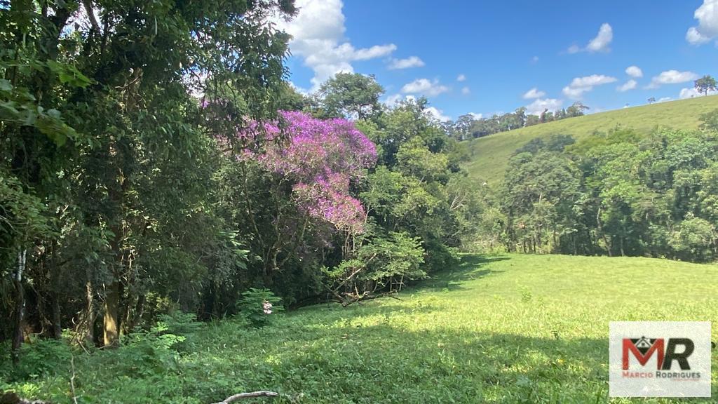 Terreno de 8 ha em Espírito Santo do Dourado, MG