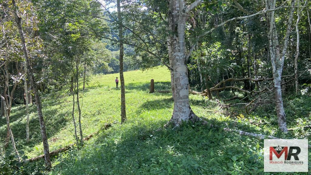 Terreno de 8 ha em Espírito Santo do Dourado, MG