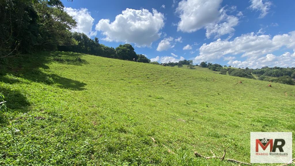 Terreno de 8 ha em Espírito Santo do Dourado, MG