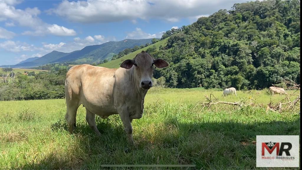 Terreno de 8 ha em Espírito Santo do Dourado, MG