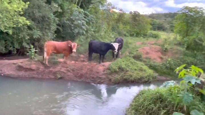 Fazenda de 30 ha em Taquara, RS