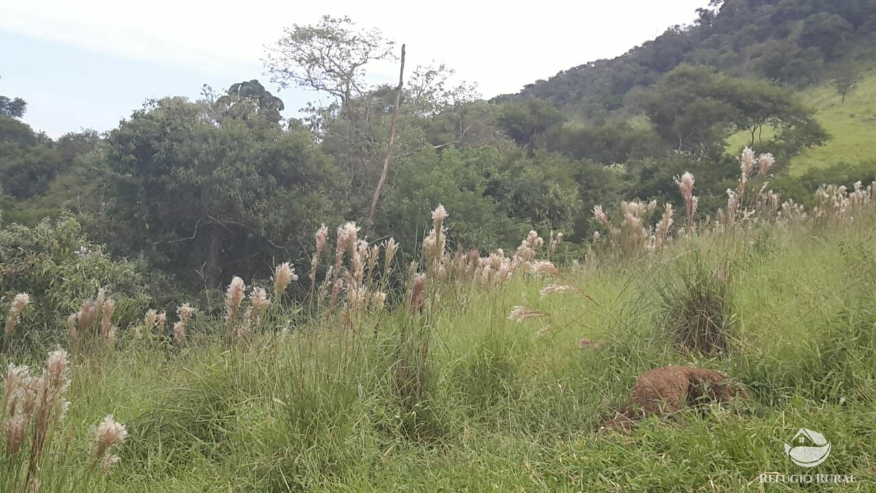 Fazenda de 484 ha em São José dos Campos, SP