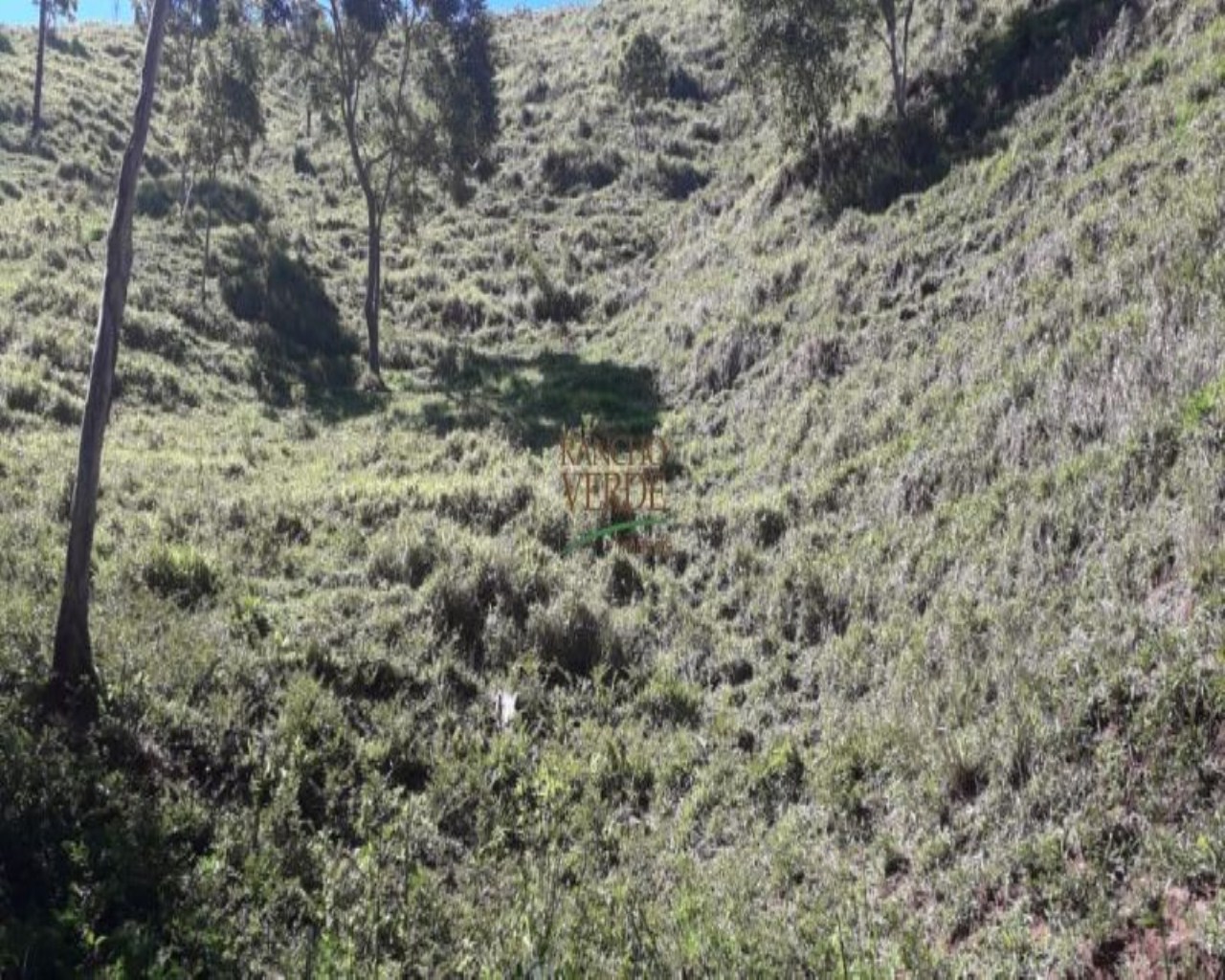 Fazenda de 97 ha em Cunha, SP