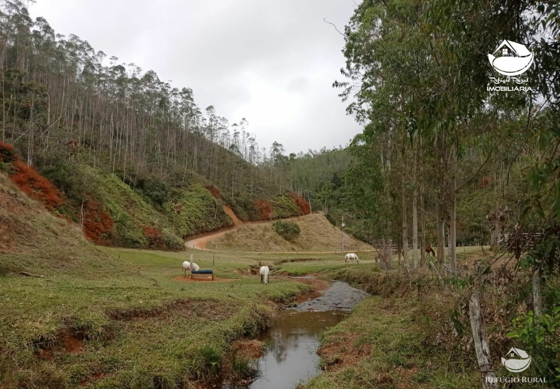 Fazenda de 181 ha em São José dos Campos, SP