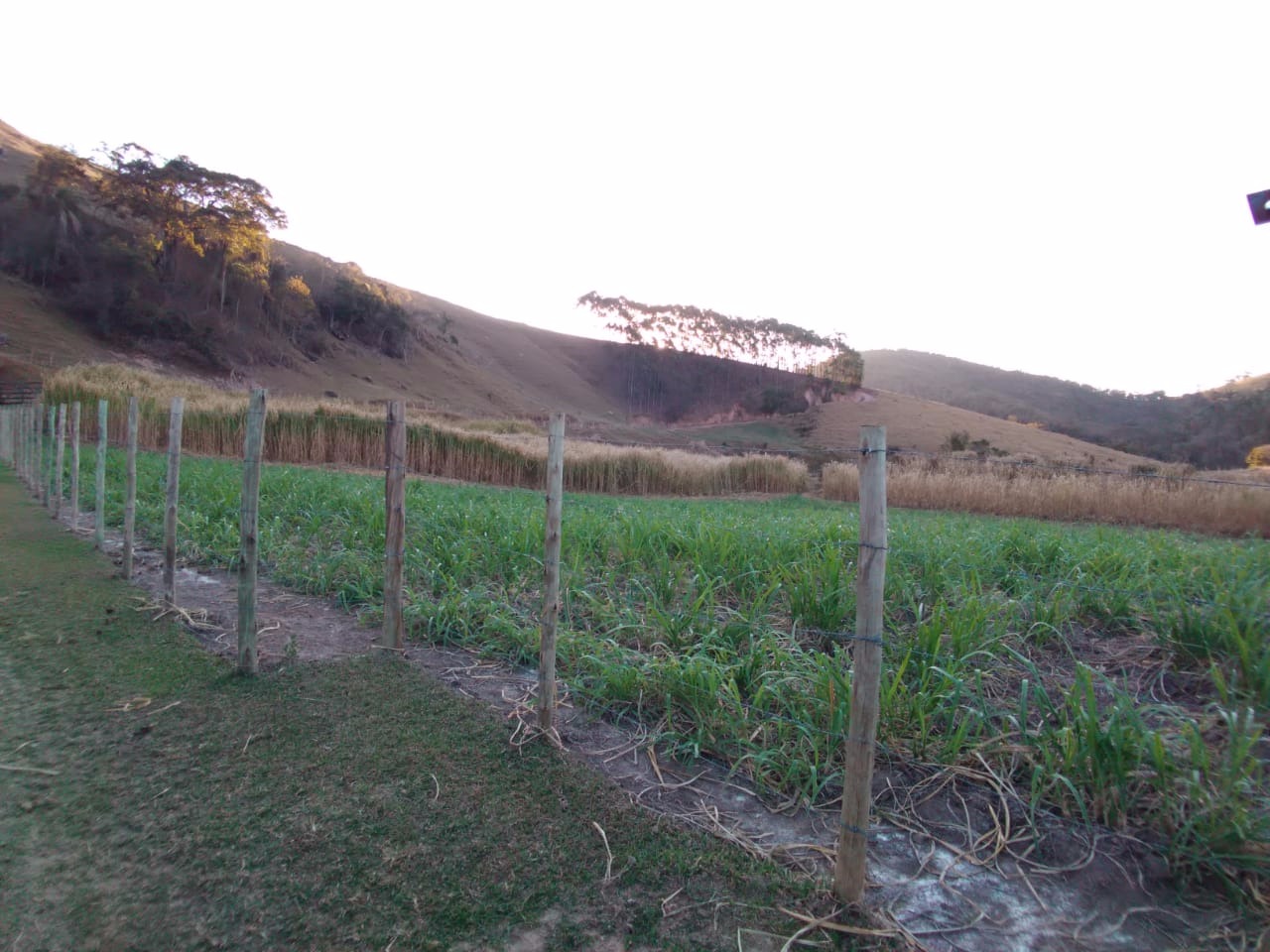 Fazenda de 121 ha em Cunha, SP