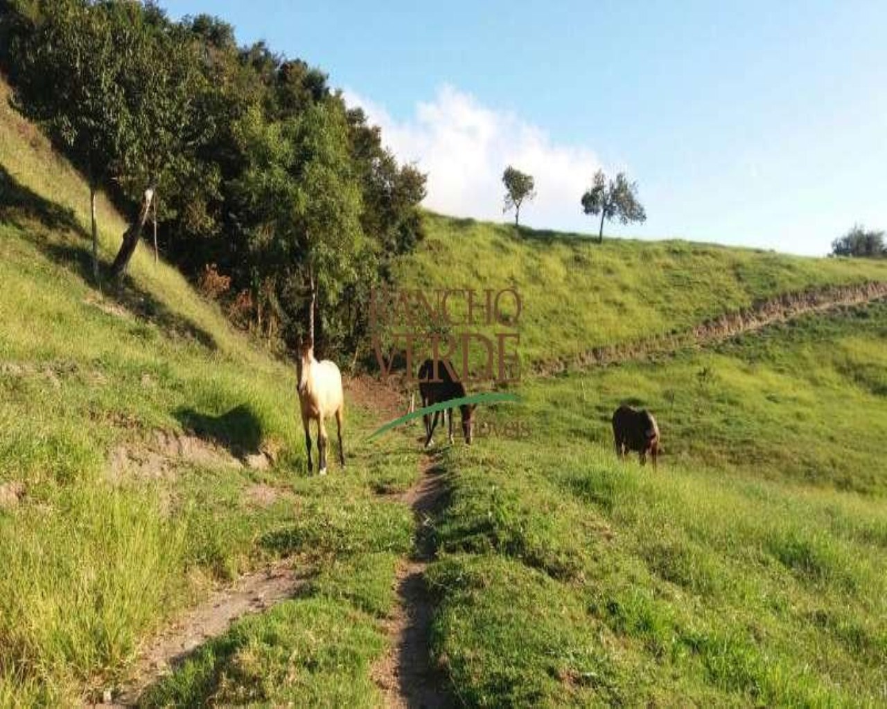 Fazenda de 122 ha em São Luiz do Paraitinga, SP