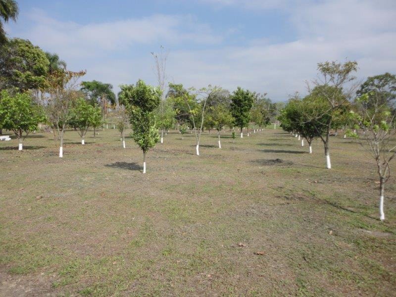 Sítio de 14 ha em Pindamonhangaba, SP