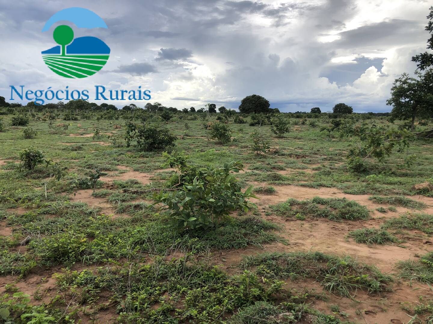 Fazenda de 847 ha em Novo Planalto, GO