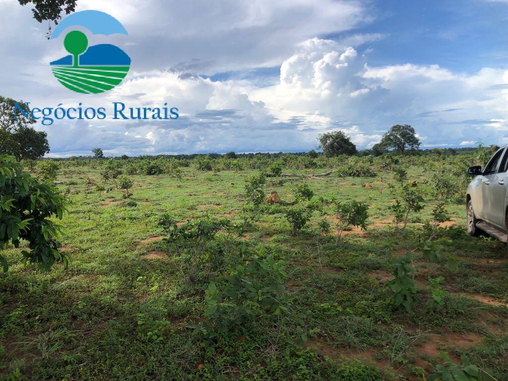 Fazenda de 847 ha em Novo Planalto, GO