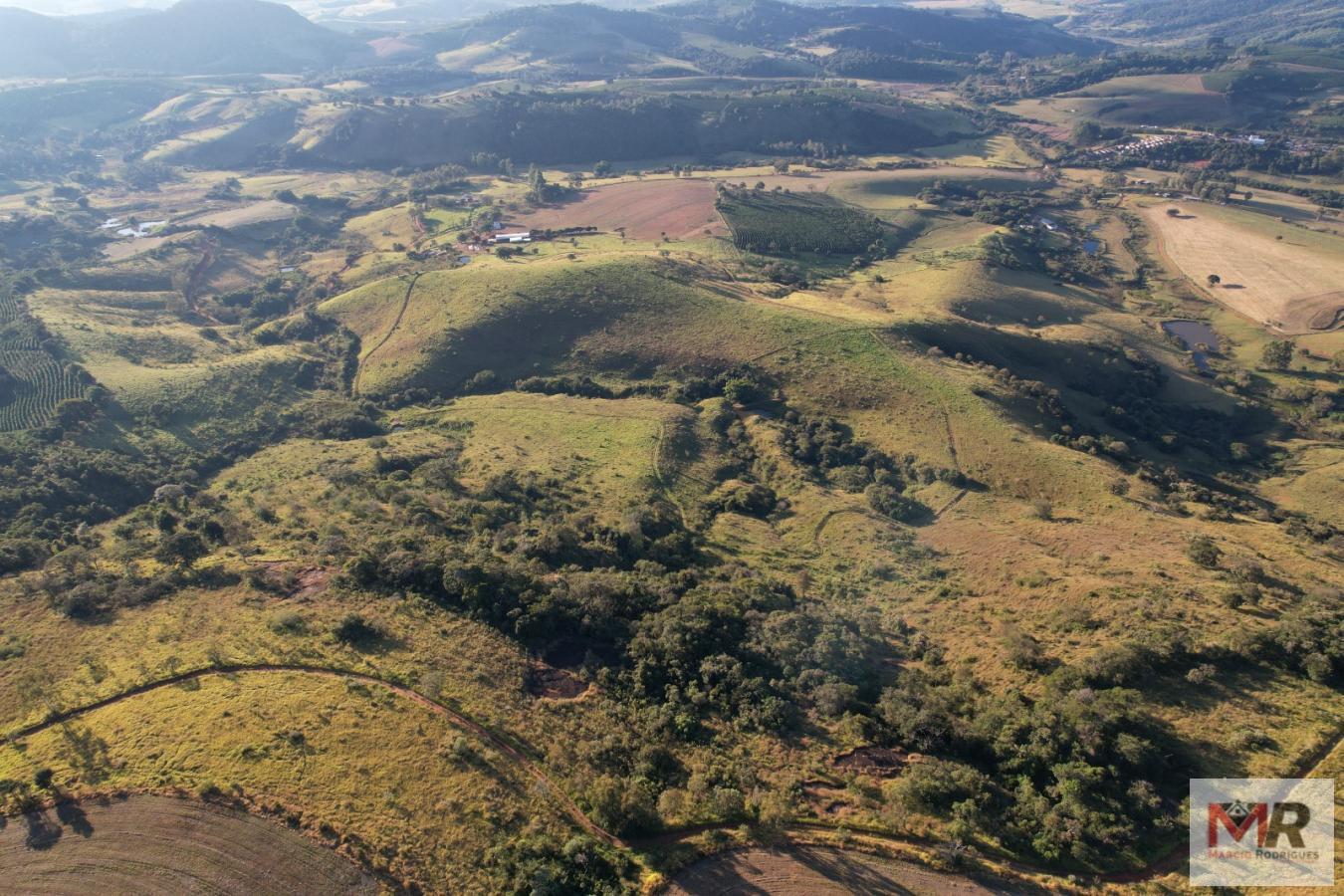Fazenda de 116 ha em São Gonçalo do Sapucaí, MG