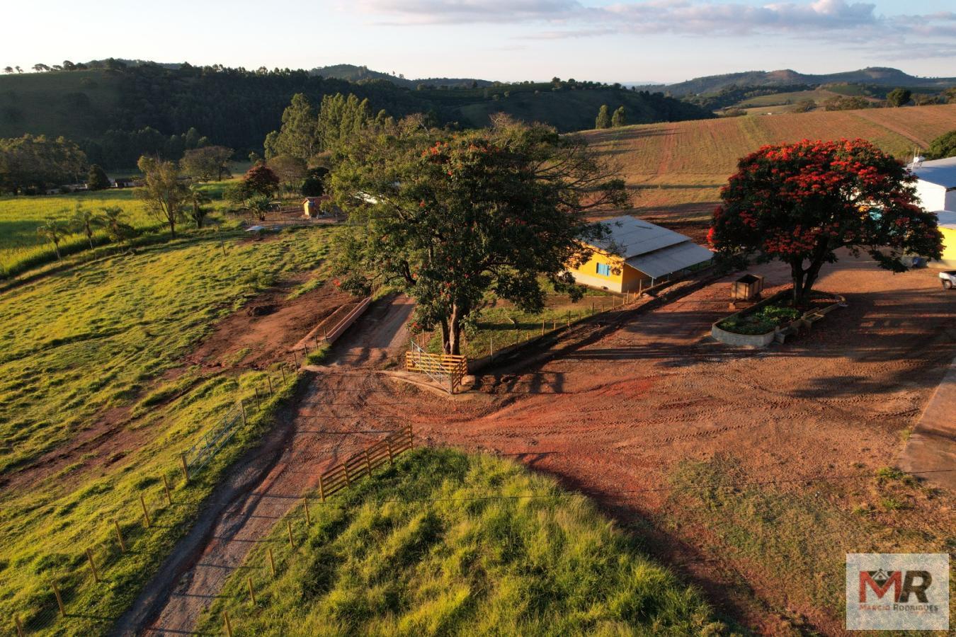 Fazenda de 116 ha em São Gonçalo do Sapucaí, MG