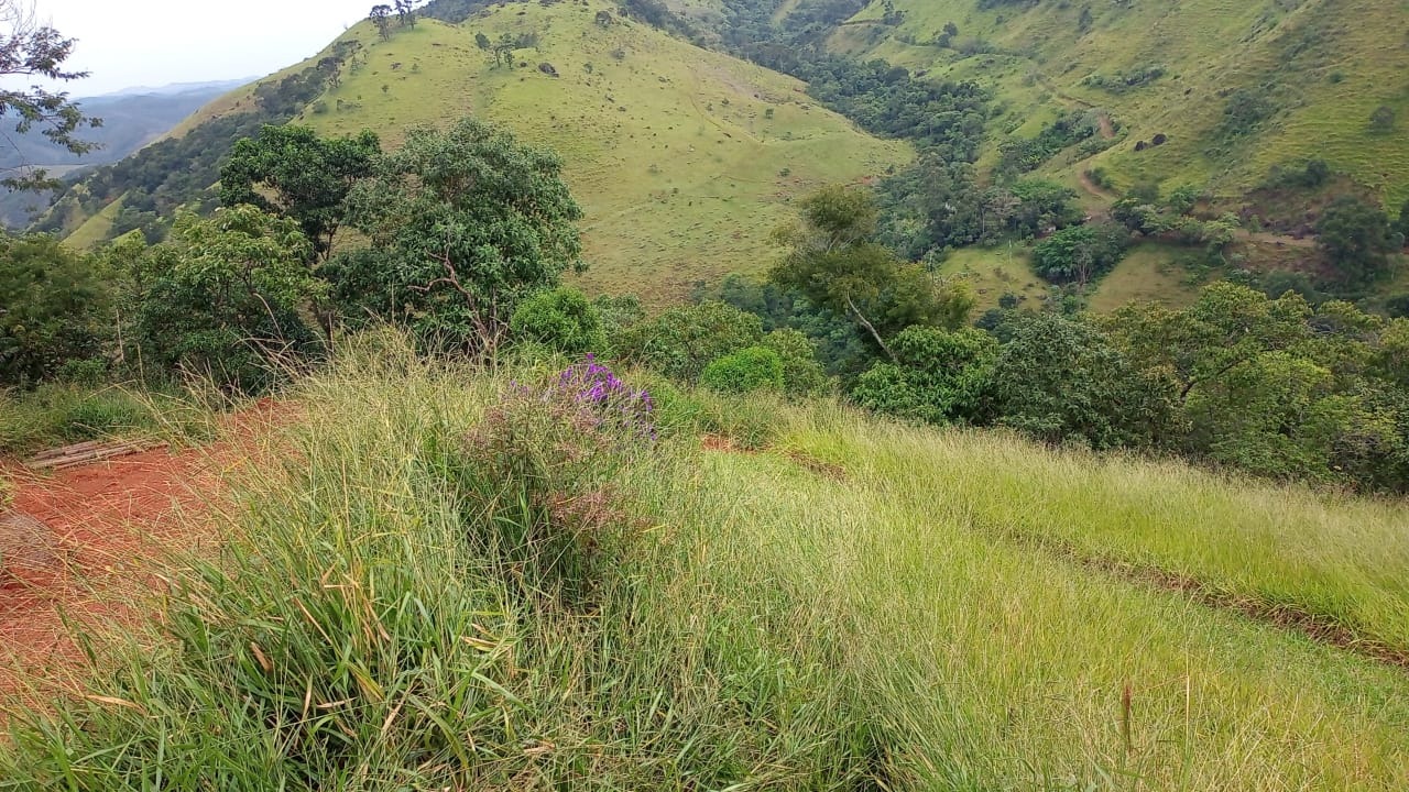 Terreno de 2 ha em São José dos Campos, SP