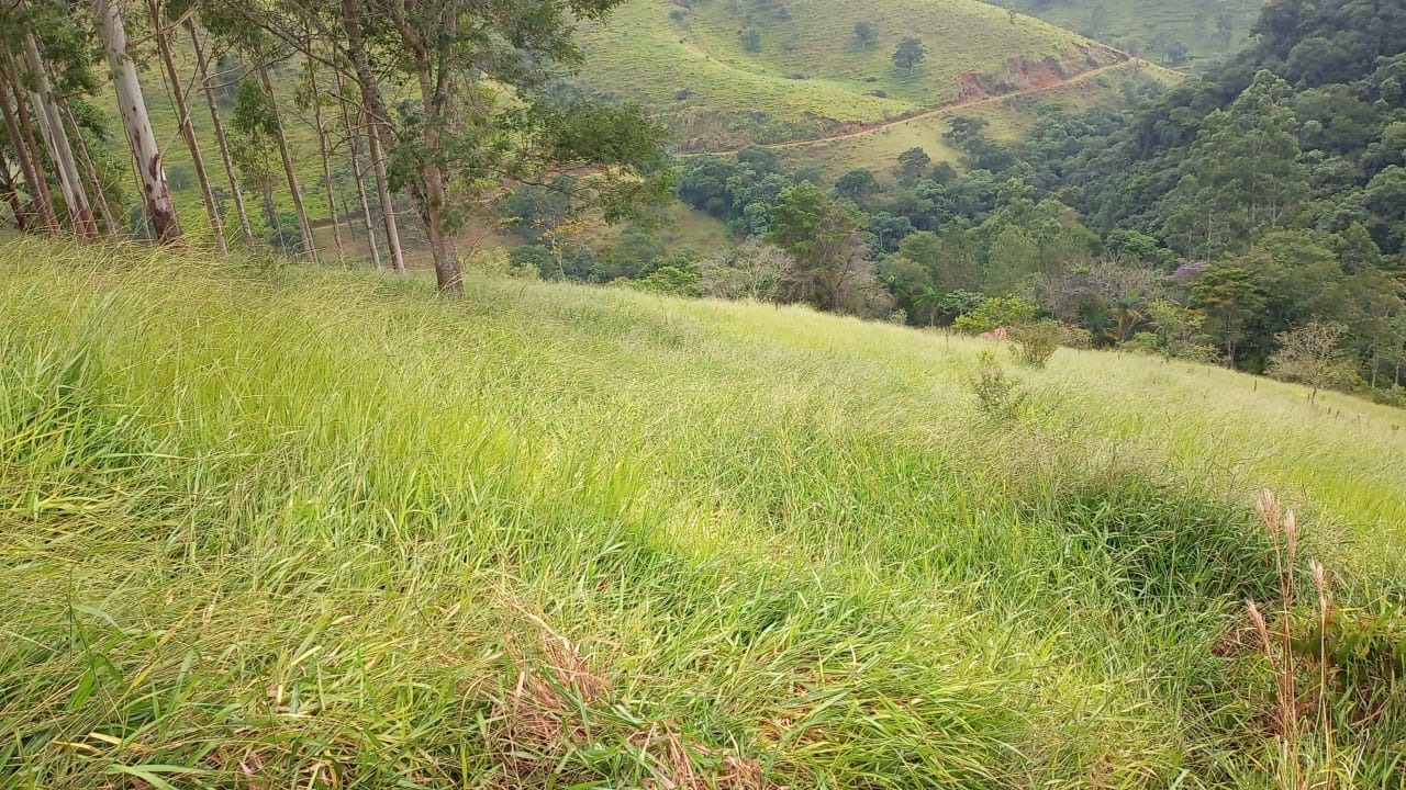 Terreno de 2 ha em São José dos Campos, SP