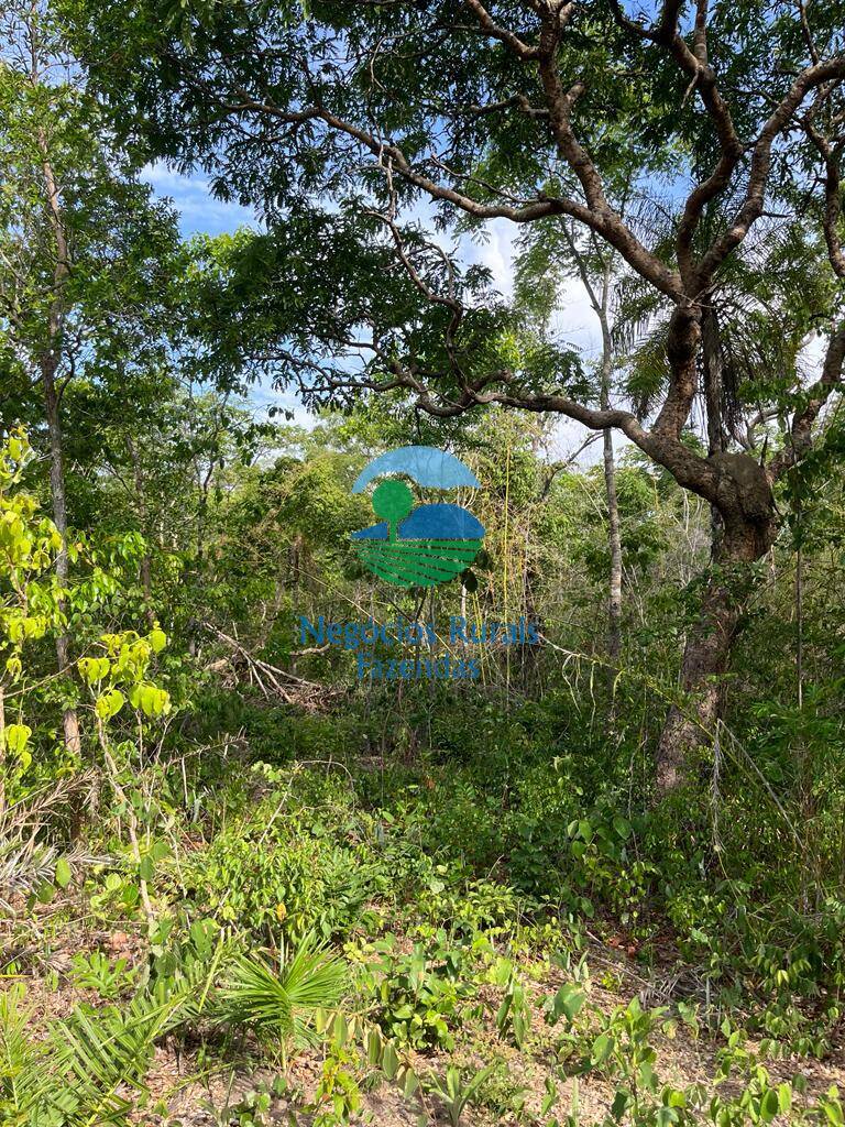 Fazenda de 484 ha em Jaú do Tocantins, TO