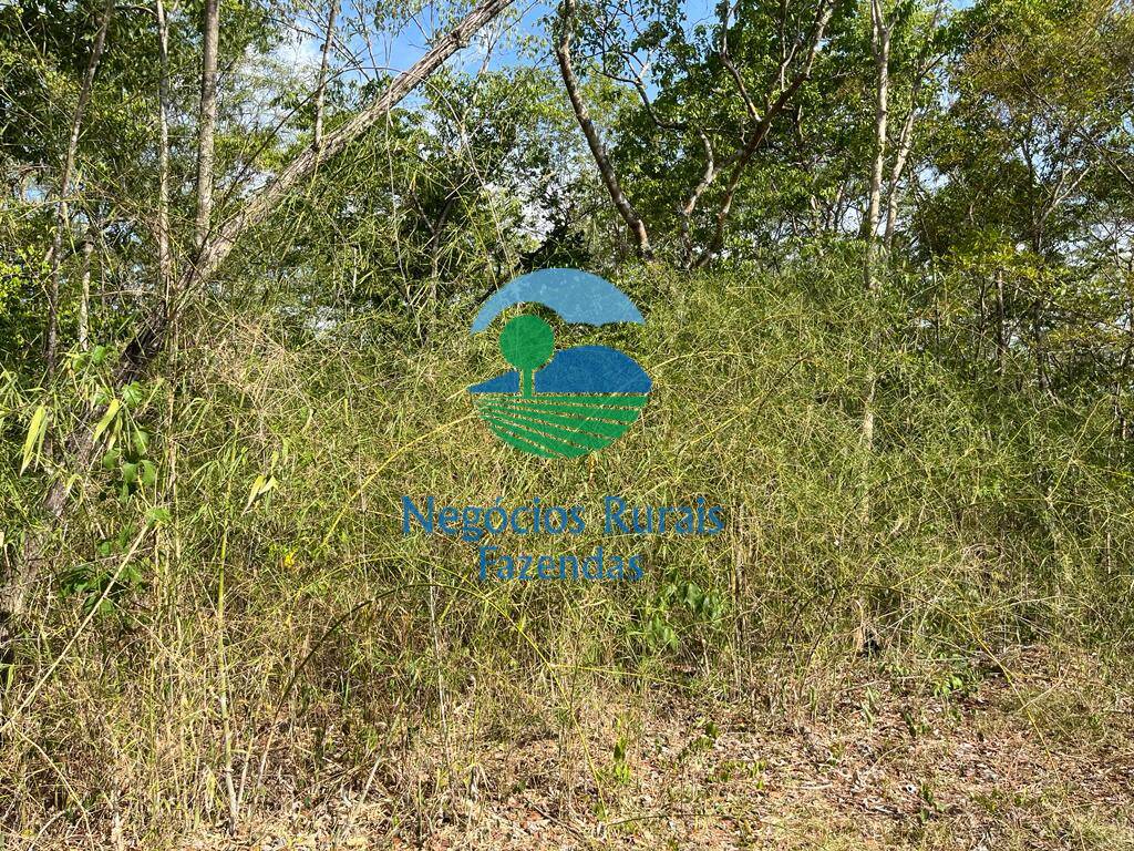 Fazenda de 484 ha em Jaú do Tocantins, TO