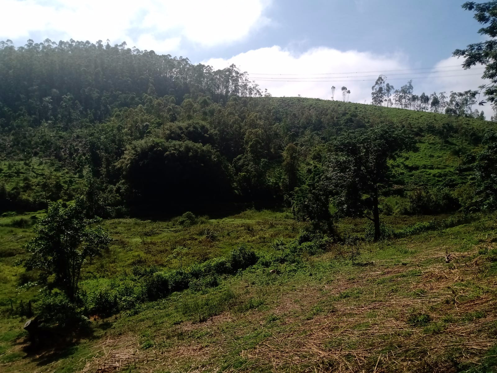 Terreno de 61 ha em São José dos Campos, SP