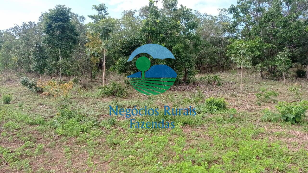 Fazenda de 561 ha em Porangatu, GO